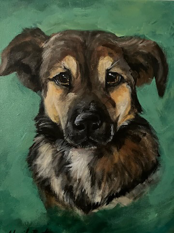 Pet Portfolio Finnick