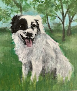 Pet Portfolio Jarvis